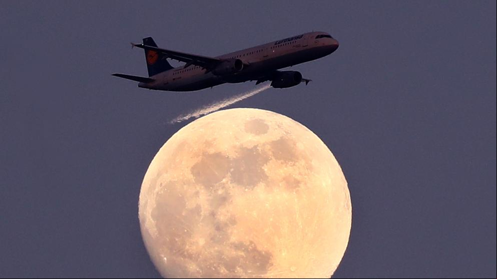 El Estado alemán alcanza el 20% de Lufthansa para rescatarla El Estado alemán alcanza el 20% de Lufthansa para rescatarla