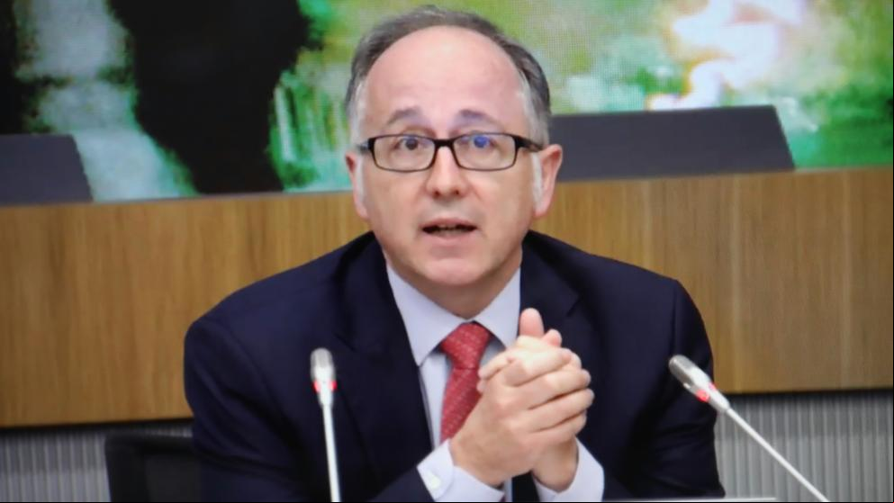 Gallego: “Iberia va a ser más pequeña el próximo lustro, esto no es una crisis temporal”
