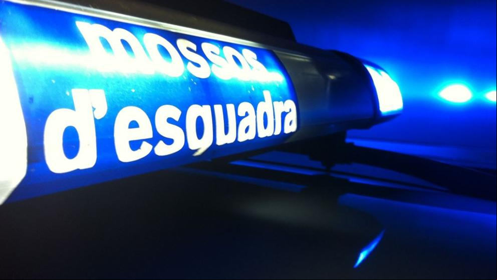 Detienen a un hombre por malos tratos y descubren una plantación de marihuana