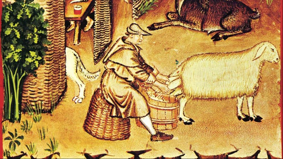 ¿Sabes cuántas horas trabajaba un campesino de la Edad Media?