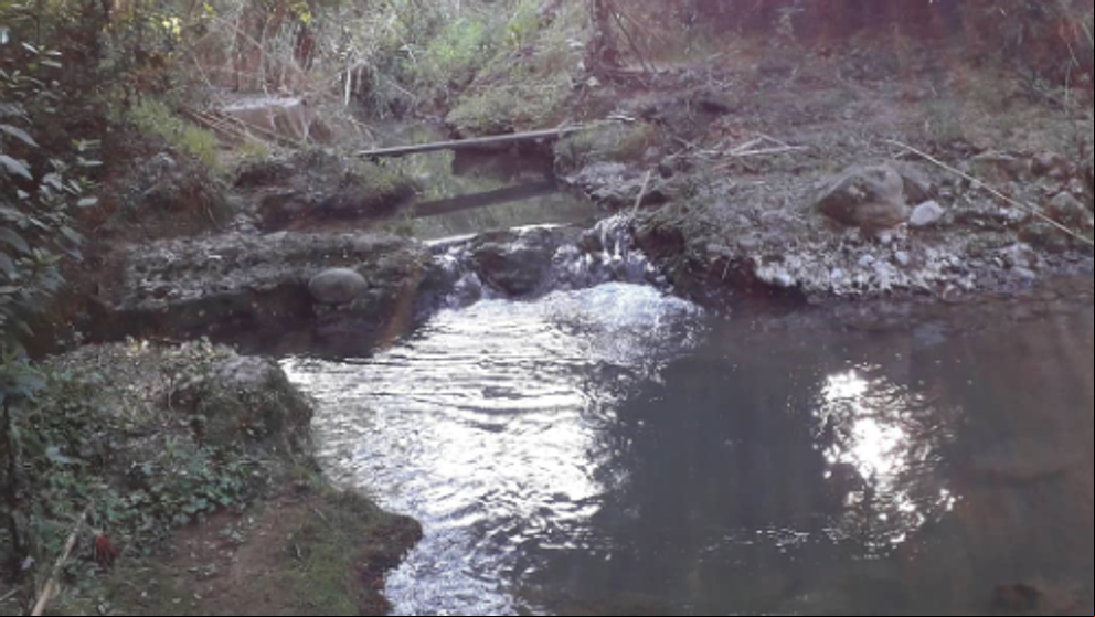 Un paraíso en Sant Quintí de Mediona