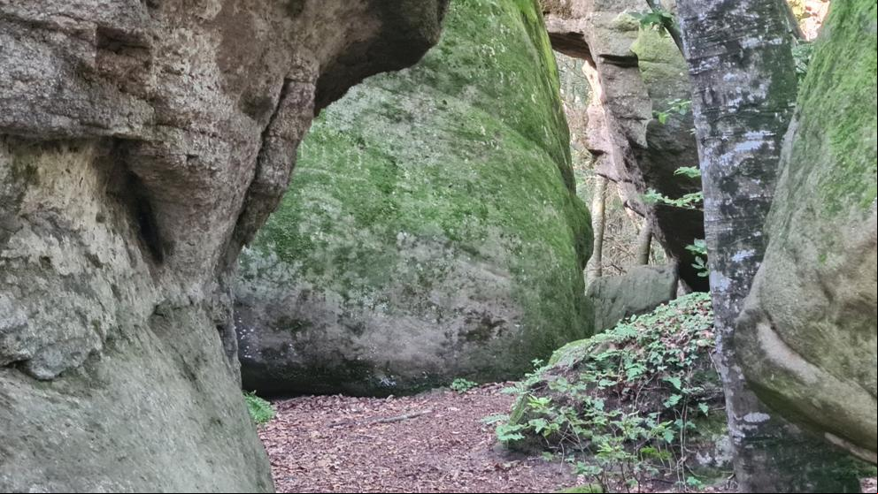 Excursión a las Rocas Encantadas