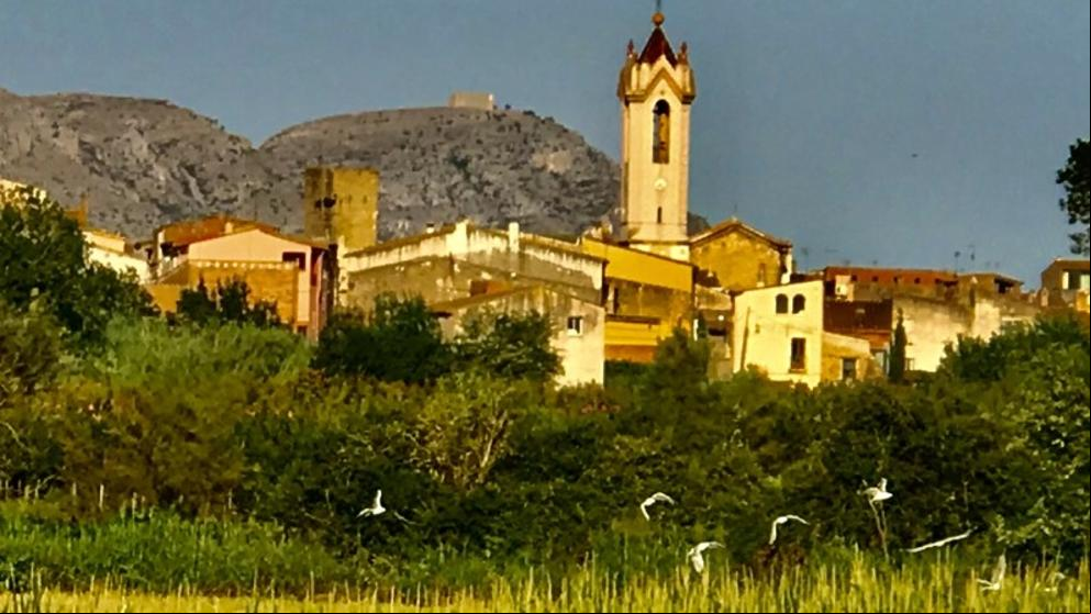 Paisajes de Verges Paisajes de Verges