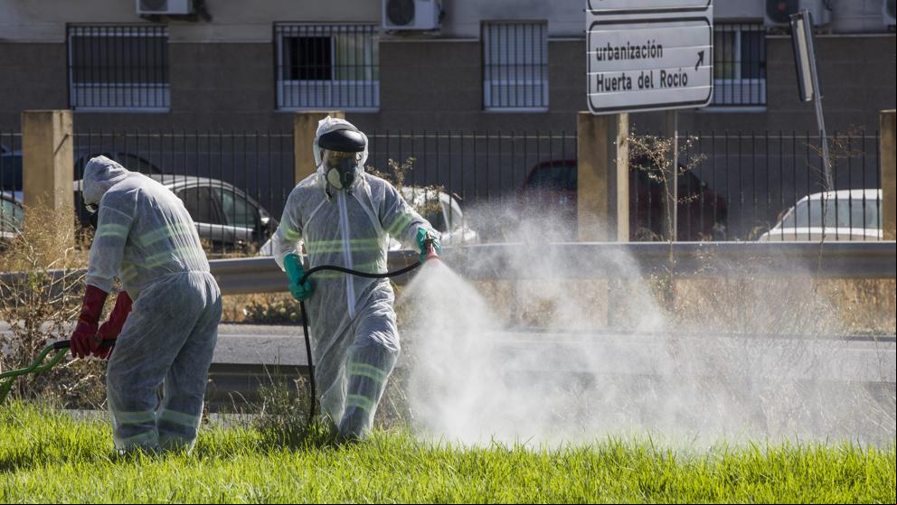 Zafarrancho de fumigaciones en municipios sevillanos contra el virus del Nilo
