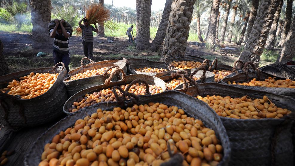 El Programa Mundial de Alimentos de la ONU gana el Nobel de la Paz 2020
