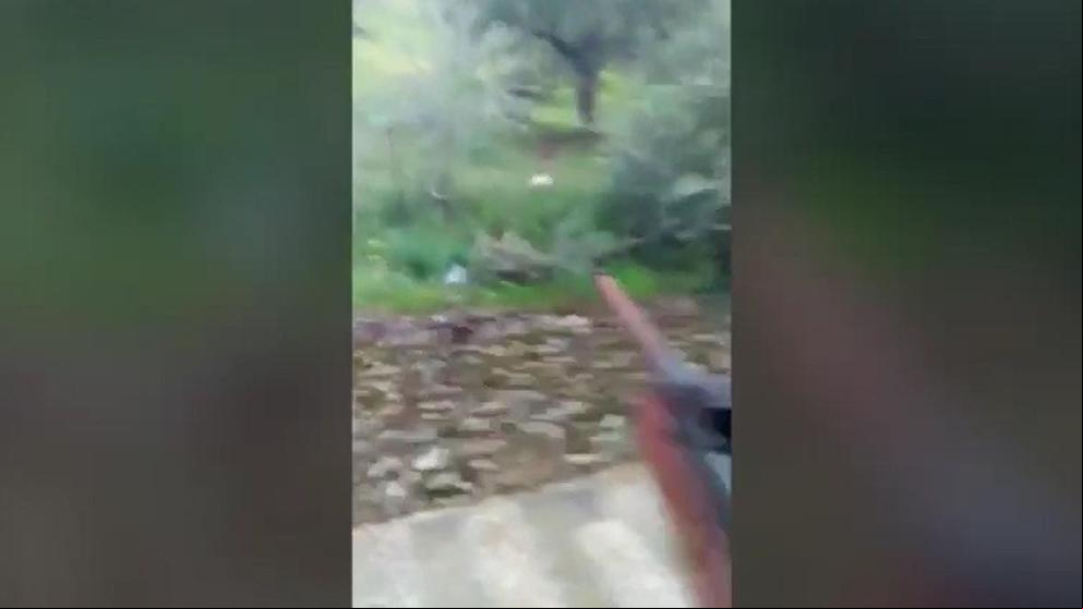 Detenido por mata a un gato de un disparo y difundir la ‘hazaña”en internet