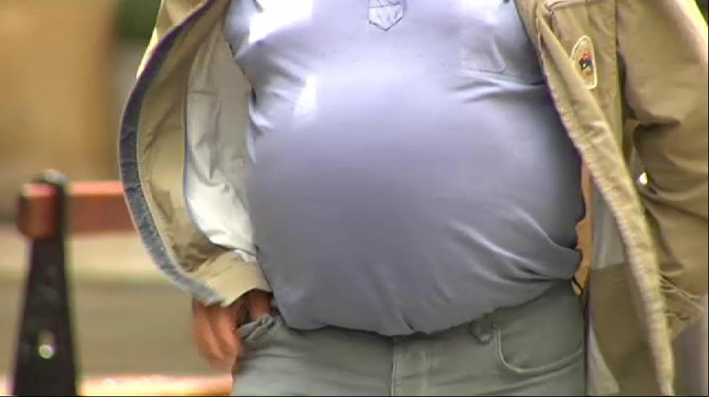 ¿Se puede combatir la obesidad desde el cerebro?